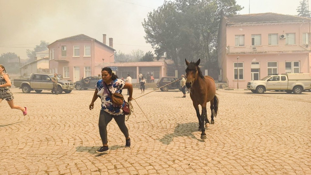 A woman tries to evacuate a horse after a wildfire swept through the village of Voden, south-eastern Bulgaria o